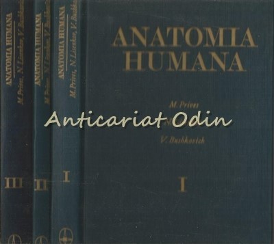 Anatomia Humana I-III - M. Prives, N. Lisenkov, V. Bushkovich foto