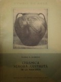 CERAMICA NEAGRA LUSTRUITA DE LA MARGINEA- FLOREA B. FLORESCU * PREZINTA HALOURI DE APA
