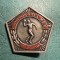 Insigna Campionatul RPR locul 2 1961