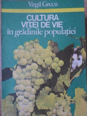 CULTURA VITEI DE VIE IN GRADINILE POPULATIEI-VIRGIL GRECU foto