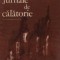 Jurnale de calatorie