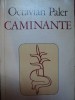 CAMINANTE de OCTAVIAN PALER