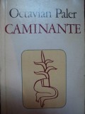 CAMINANTE de OCTAVIAN PALER