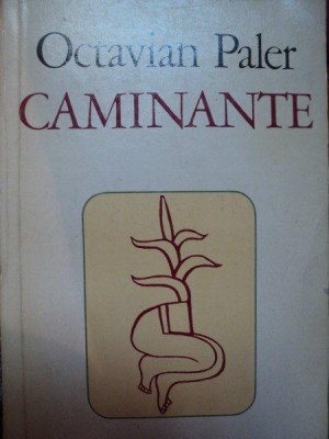CAMINANTE de OCTAVIAN PALER foto