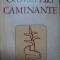 CAMINANTE de OCTAVIAN PALER