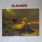 SLUJIRE-PREOT ION CARCIULEANU-237660