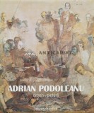Desen si pictura - 2010 - Adrian Podoleanu (I3)