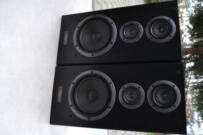 Boxe Pioneer CS 5030 foto