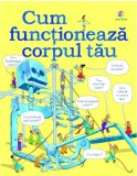 Cum functioneaza corpul tau | Judy Hindley, Corint