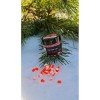 Wafter 220Baits 6 mm Capsuni Krill 35 ml Alb &amp; Portocaliu