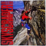 DAVID LEE ROTH Skyscraper _ vinyl,LP _ NM/ VG+ _ Warner, Germania, 1988, Rock