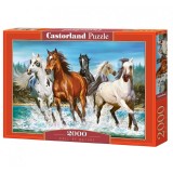 Puzzle 2000 Pcs - Castorland, 7Toys, Brand