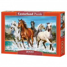 Puzzle 2000 Pcs - Castorland, 7Toys
