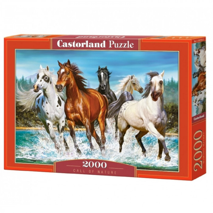 Puzzle 2000 Pcs - Castorland, 7Toys