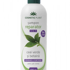 Sampon reparator 5 in 1 cu ceai verde si betaina, 400ml, Cosmetic Plant