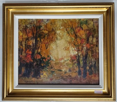 Ilie Ardelean (1926-1997) - Luminis foto
