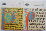 Saga despre Njal (2 volume) - Njala, Roman