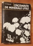 Zacaminte de minerale utile de N. Petrulian