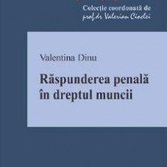 Raspunderea penala in dreptul muncii - Valentina Dinu