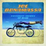 Joe Bonamassa Different Shades Of Blues (cd), Rock