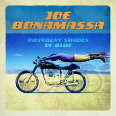 Joe Bonamassa Different Shades Of Blues (cd)