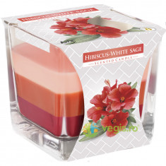 Lumanare Parfumata in Pahar Trei Culori cu Aroma de Hibiscus si Salvie Alba