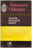 Anisoara Odeanu - Acele lucruri mari - 127962