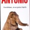 UN ELEFANT... TE-AR PUTEA INSELA-FREDERIC DARD-263627