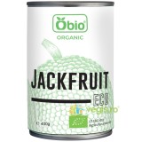 Jackfruit fara Gluten Ecologic/Bio 400g