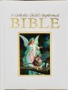 A Child's Baptismal Bible