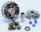 Cumpara ieftin Variator fata Polini Hi-Speed Aprilia SR - Gilera Runner SP - Piaggio Fly - Zip - NRG - Liberty - Vespa ET2 - LX - S 2T 50cc (Polini) - 6 role