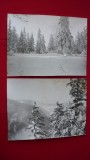 FOTOGRAFII ALB-NEGRU, PEISAJ DE IARNA LOT 2 BUC. (28/21 cm)