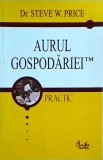 Steve W. Price - Aurul gospodariei