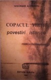 COPACUL VIEŢII POVESTIRI ISTORICE - GHEORGHE ALEXANDRU