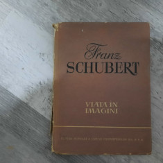 Viata in imagini.Franz Schubert