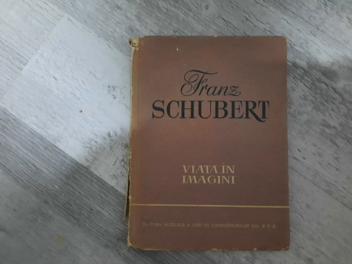 Viata in imagini.Franz Schubert