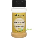 Ghimbir Macinat fara Gluten (Solnita) Ecologic/Bio 30g