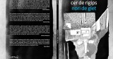cer de rigips, nori de glet - Alin Ioan - Editura frACTalia
