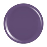 Cumpara ieftin Gel Colorat UV PigmentPro LUXORISE - Deep Mulberry, 5ml
