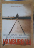 HAMBURG &#039;44. UIMITOAREA MARTURIE A UNUI CREDINCIOS DEPORTAT IN GERMANIA NAZISTA-ERINO DAPOZZO-218603