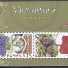 Romania 2010 - Viticultura bloc neuzat,perfecta stare