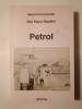 Petrol - Pier Paolo Pasolini, Editura Pontica 1999, Studii literare, sublinieri