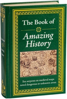 Amazing History