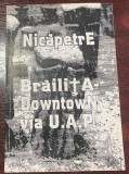 Brăiliţa Downtown via U.A.P sau autobiografia unei pietre cioplite de Nicăpetre