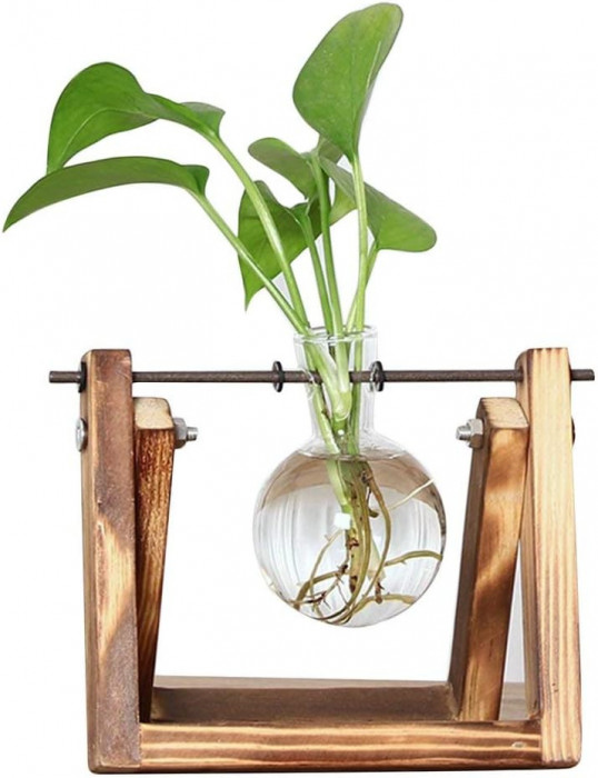 Dktop vază cu bulb de jardinieră din sticlă cu suport retro din lemn masiv și su