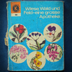 WIESE, WALD UND FELD - EINE GROSSE APOTHEKE - KALEIDOSKOP foto