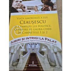 Viata amoroasa a lui Ceausescu si a familiei lui politice. O privire pe gaura cheii in cabinetele 1 si 2 - Dan Silviu Boerescu