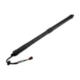 Amortizor portbagaj Infiniti Qx60 2013-, Jx 2012-2013, Stanga, Dreapta, Pentru vehicule cu haion cu deschidere electrica, 905603JA0A