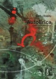 Autolirica Jurnal Poetic si nu prea Radu Boeru Carti Beletristica Editura Paginarium Brosat