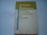Intrebari si raspunsuri privind cultura plantelor de nutret, 1967, Alta editura